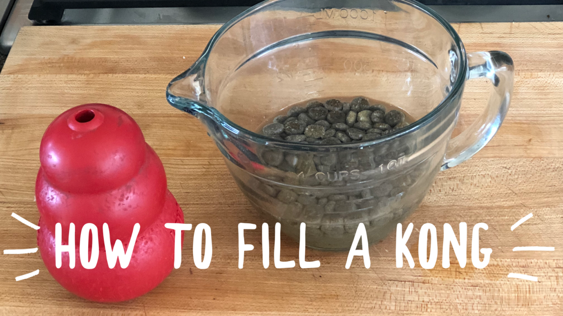 How to Fill a Kong for Dogs