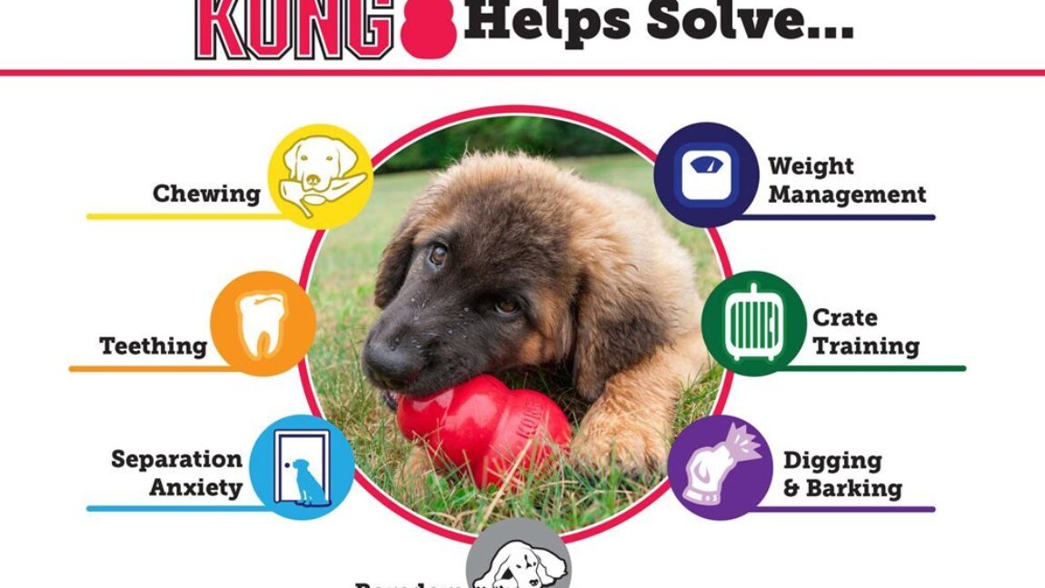 Treat Dispensing and Chew Toys