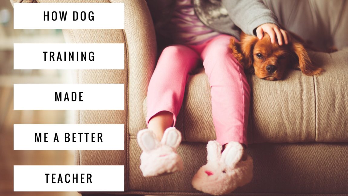 How Dog Training Made Me A Better Teacher