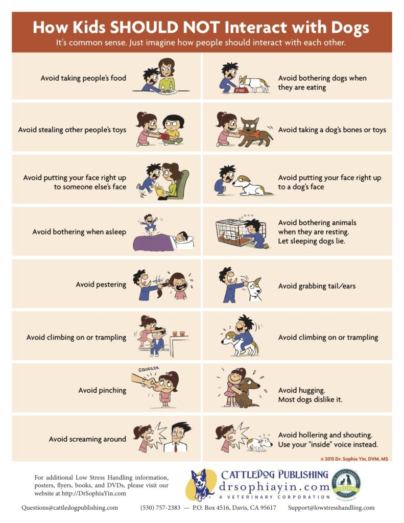 How Kids Should Not Interact with Dogs - Dr. Sophia Yin