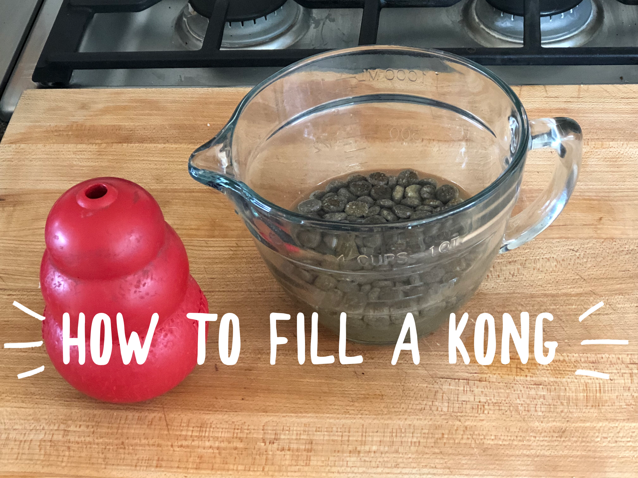 things to stuff kongs with