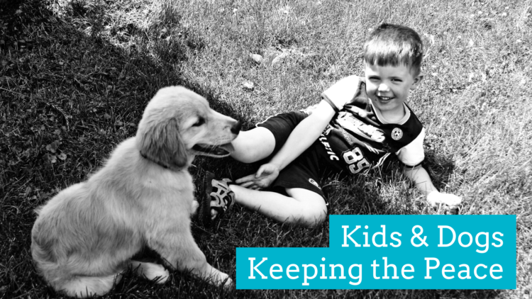 Kids and Dogs – Keeping the Peace