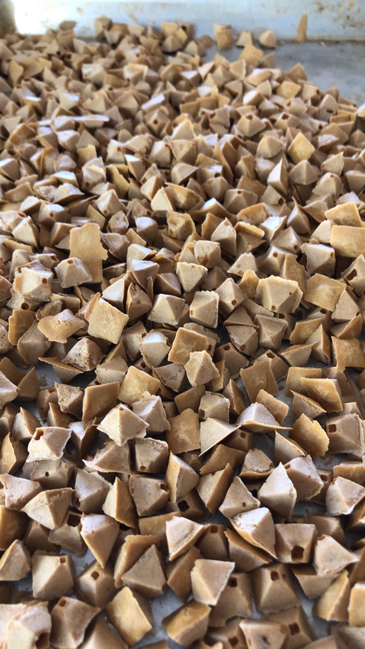 Making Homemade Dog Treats with Kids Pooch Parenting