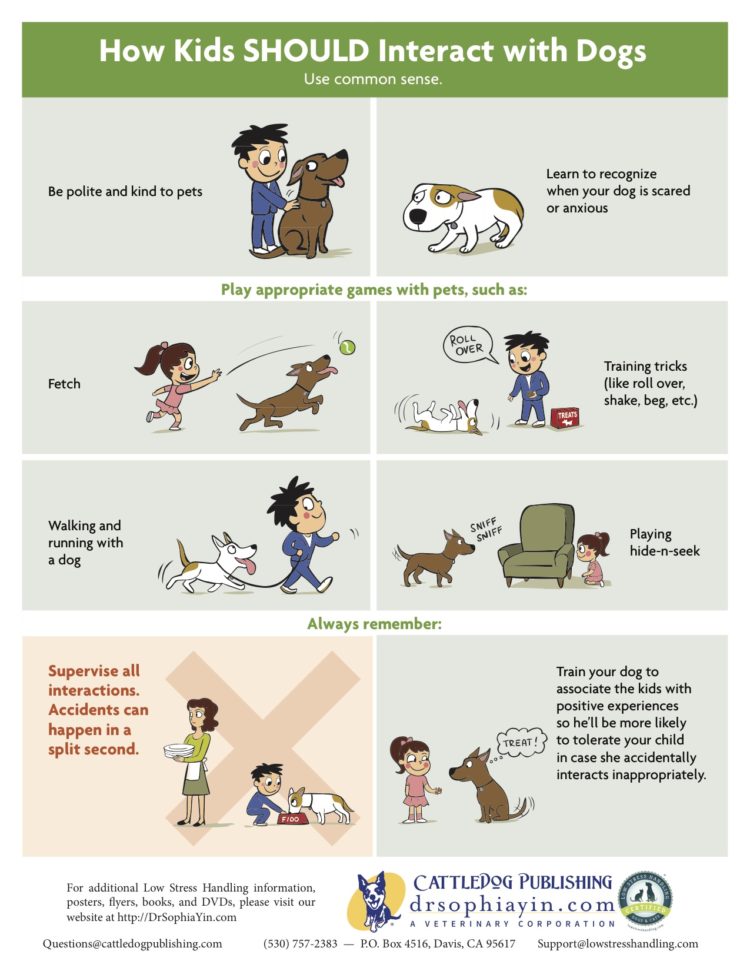 How-Kids-Should-Interact-With-Dogs-Poster