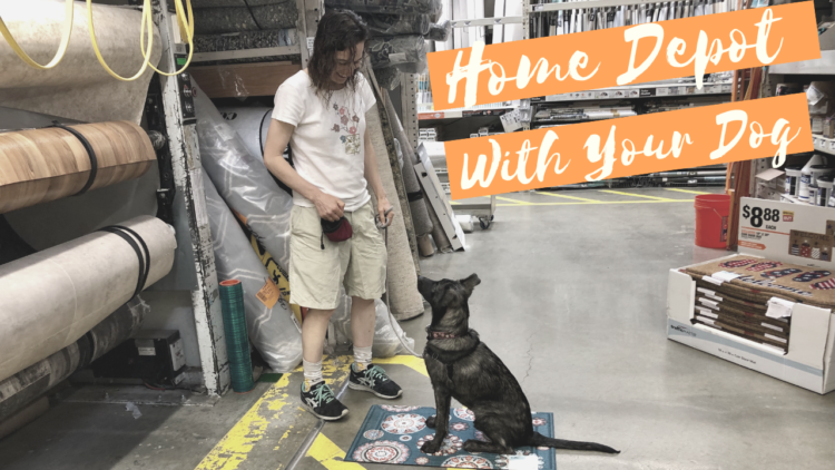 Home Depot With Your Dog