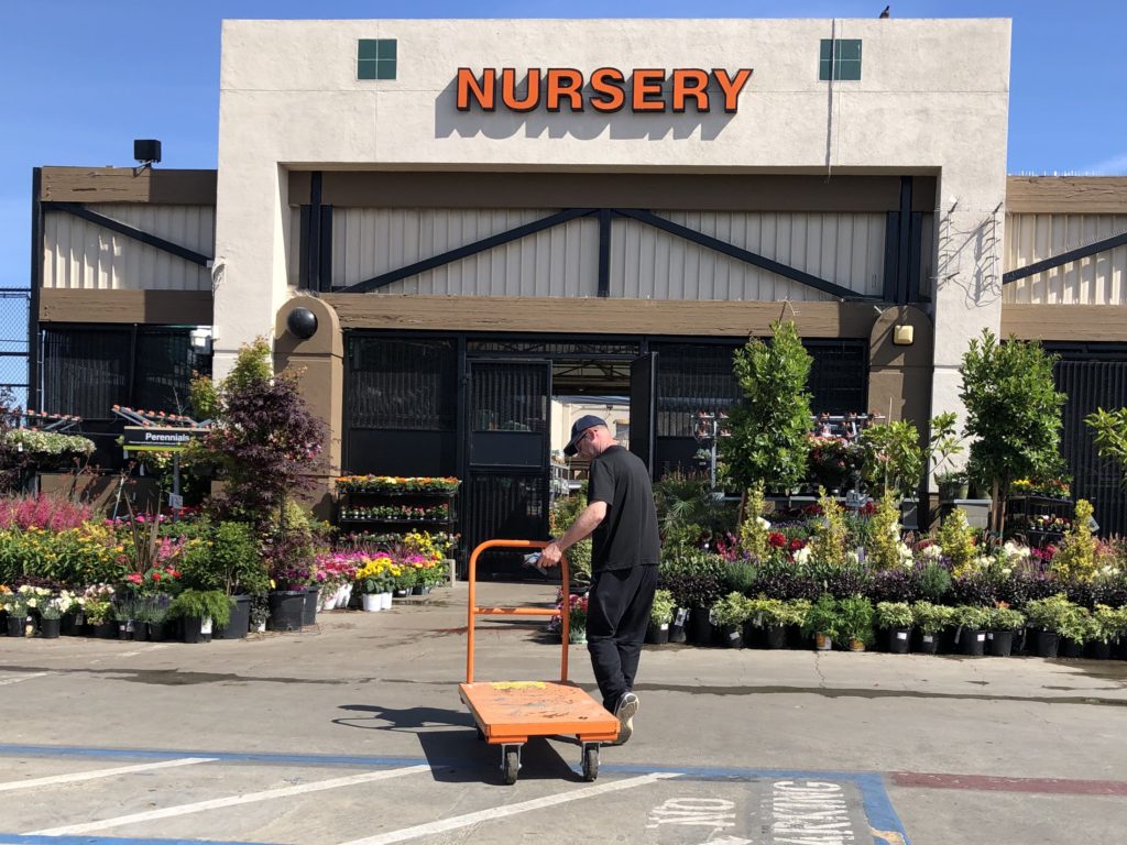 Puppies on the Town class at Home Depot, Marin County