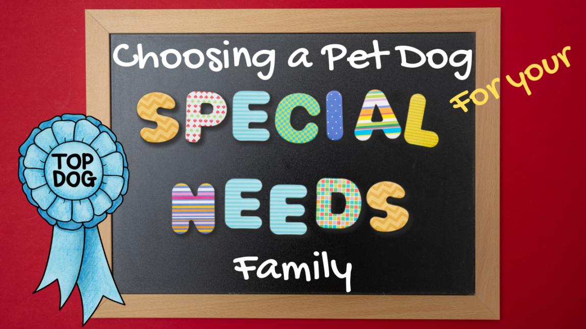 Choosing a Pet Dog for Your Special Needs Family