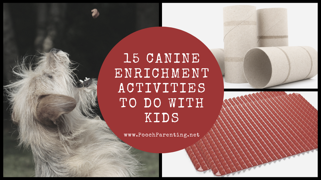 Enrichment Ideas for your pups while stuck inside!