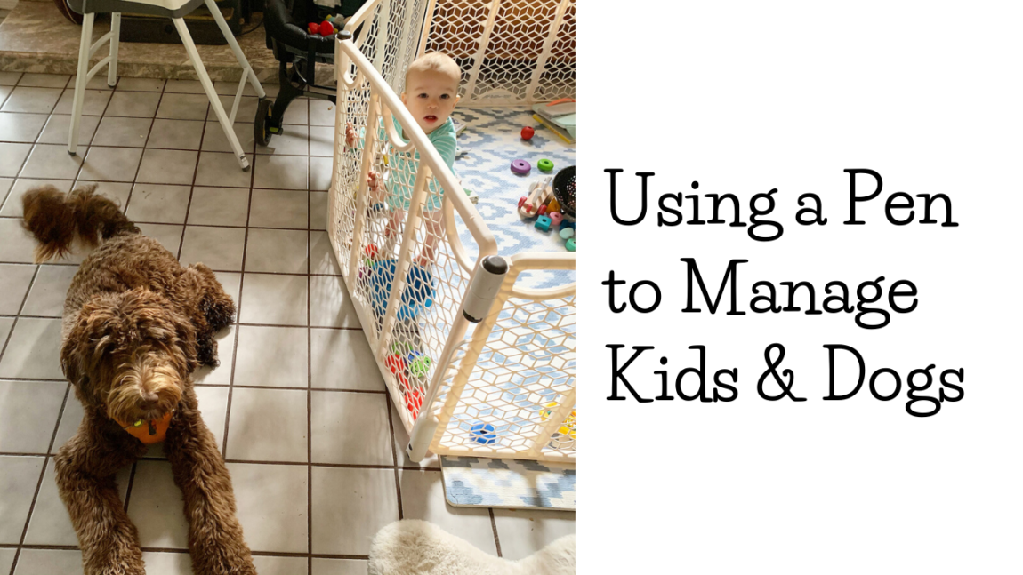Pens to Manage Kids and Dogs