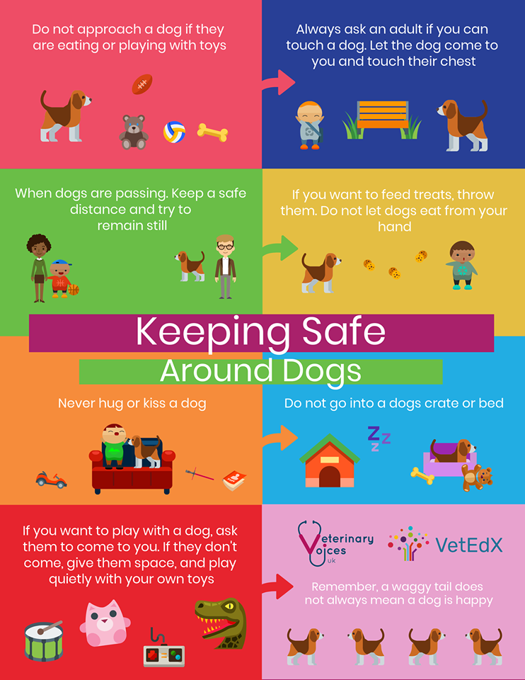Keeping Kids Safe Around Dogs - VetEdX