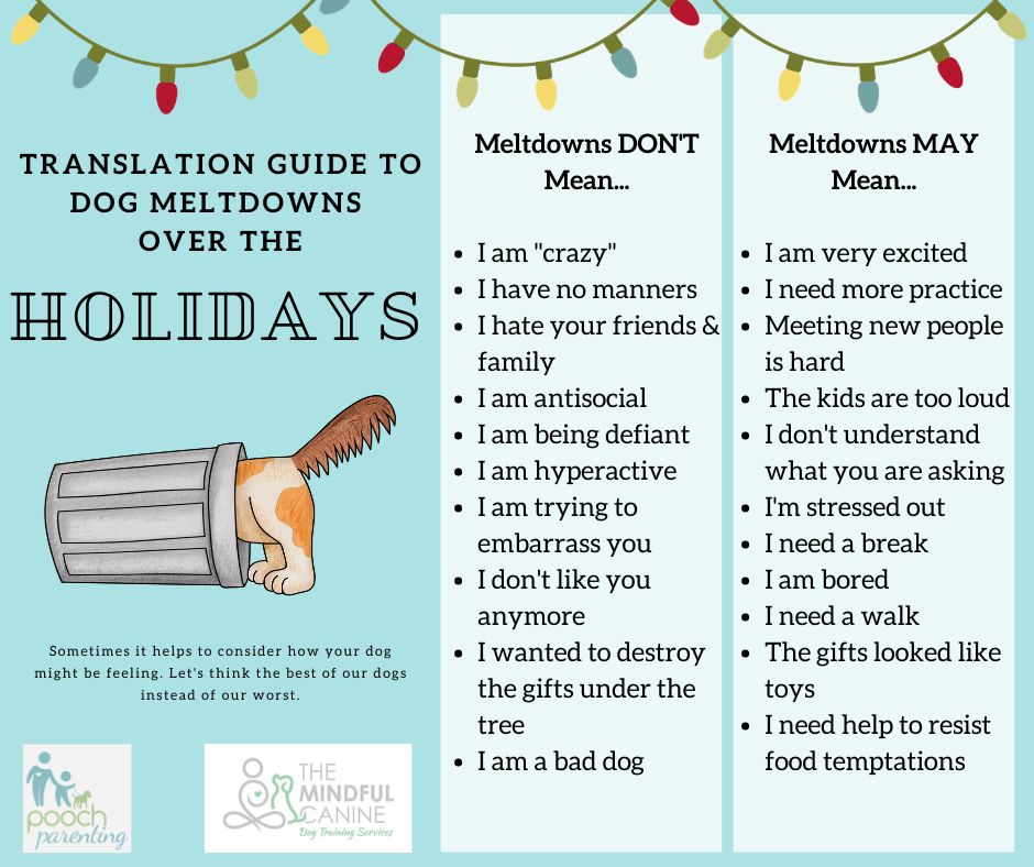 Translation Guide to Dog Meltdowns