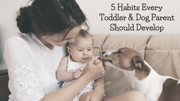 5 Habits Every Toddler & Dog Parent Should Develop