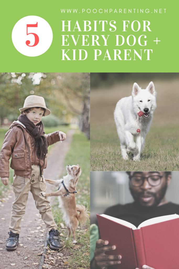 5 Habits for Every Dog and Kid Parent - keeping life safe and happy with dogs and children from Pooch Parenting