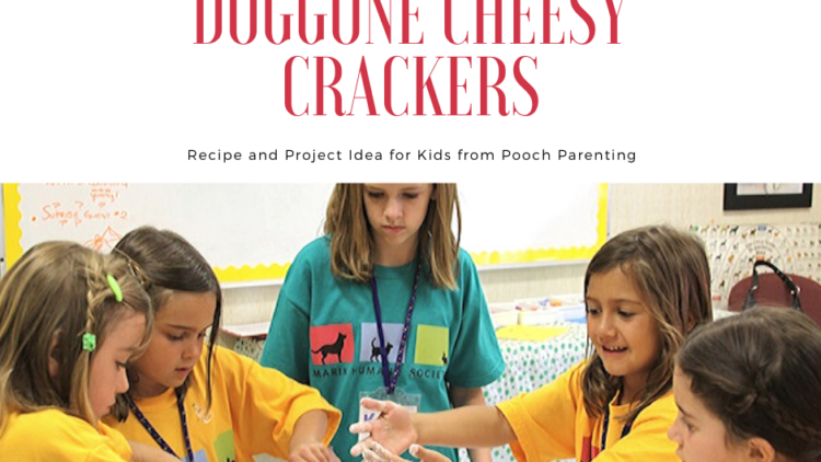Easy Recipe for Dog Treats to Make with Kids