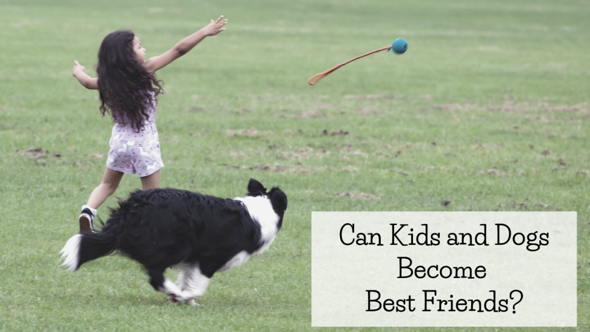 Can Kids and Dogs Become Best Friends?