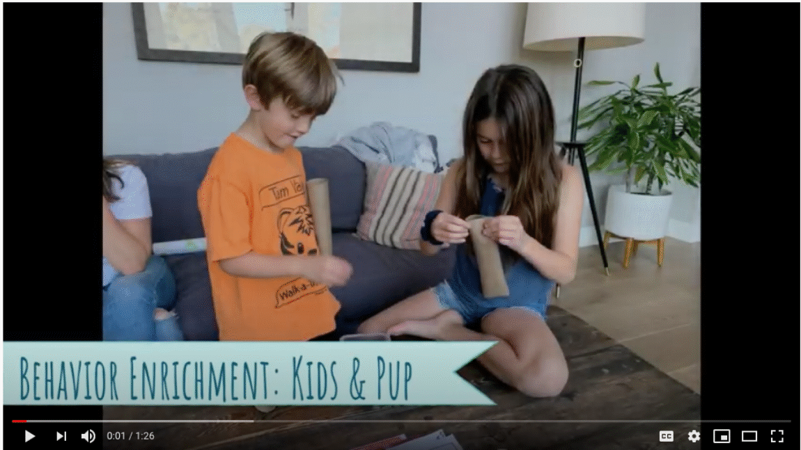 Fun and Simple Activity for Kids and Dogs