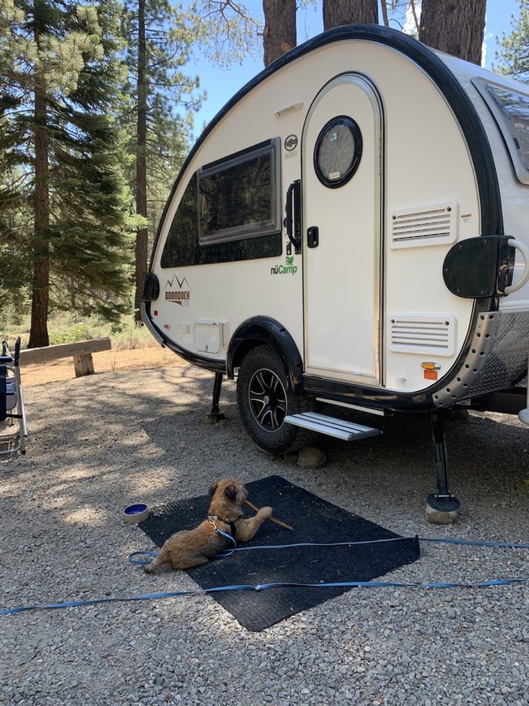 Pippin on a mat with a camping trailer