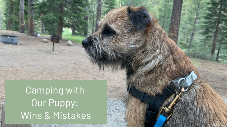 Camping with our Pup – What worked and what didn’t