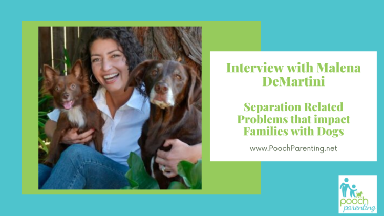How Separation Anxiety Impacts Families