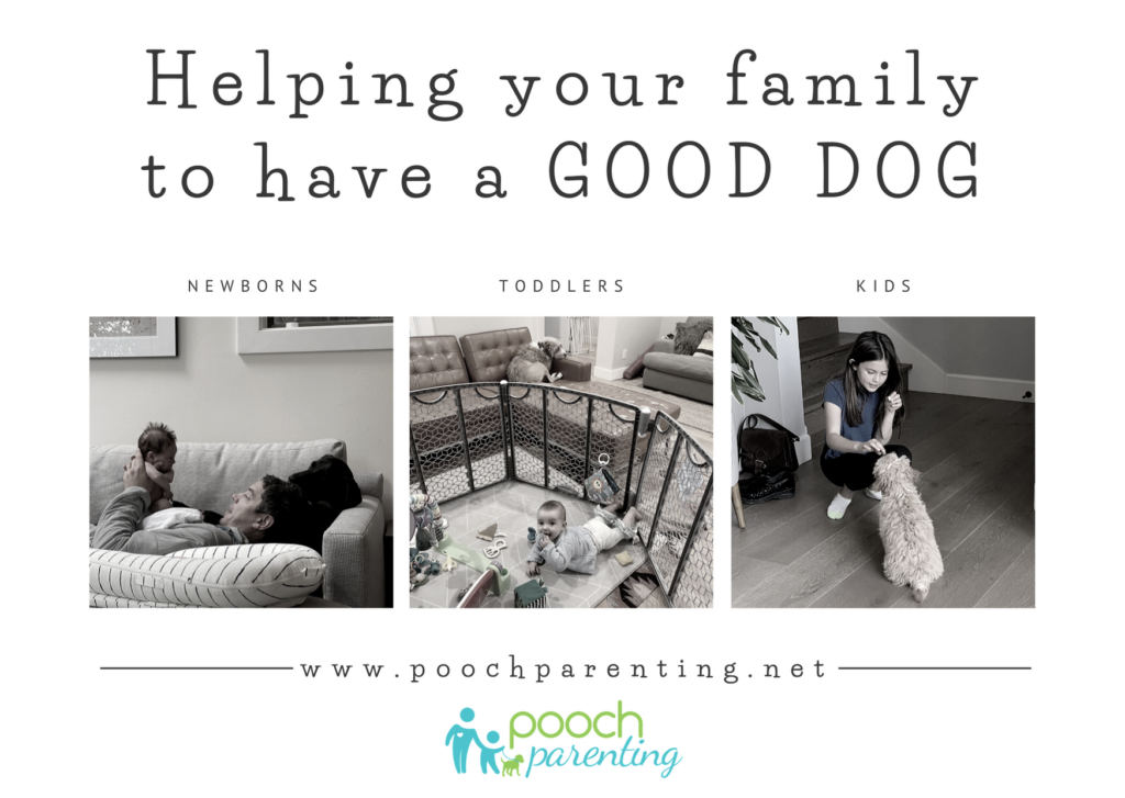 Pooch Parenting - helping your family to have a good dog