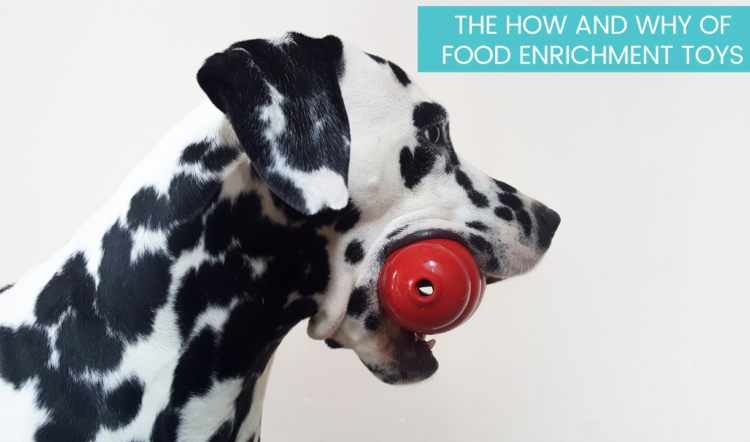 You're Filling Your Kong Wrong - The Art of Doing Stuff