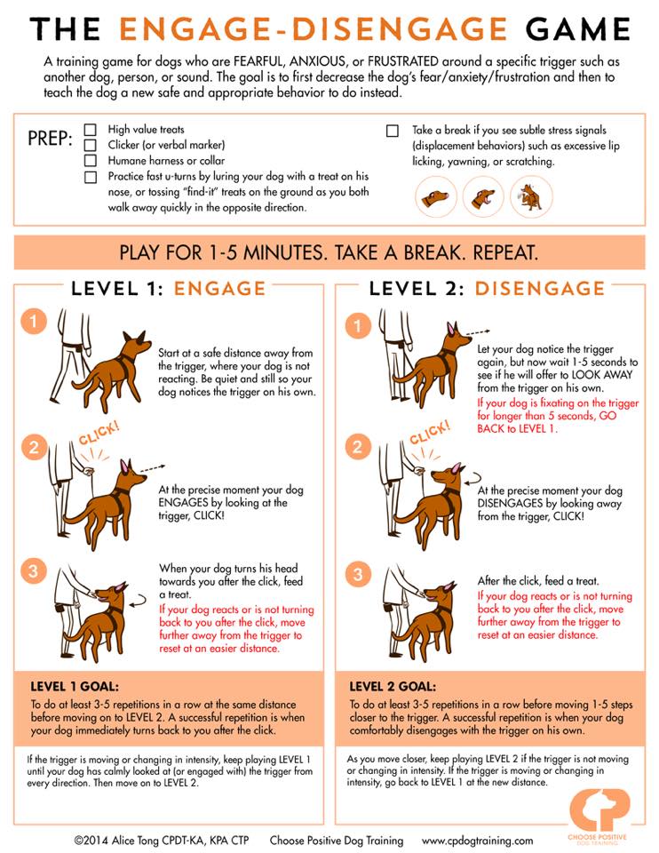 Engage-Disengage Game for dogs