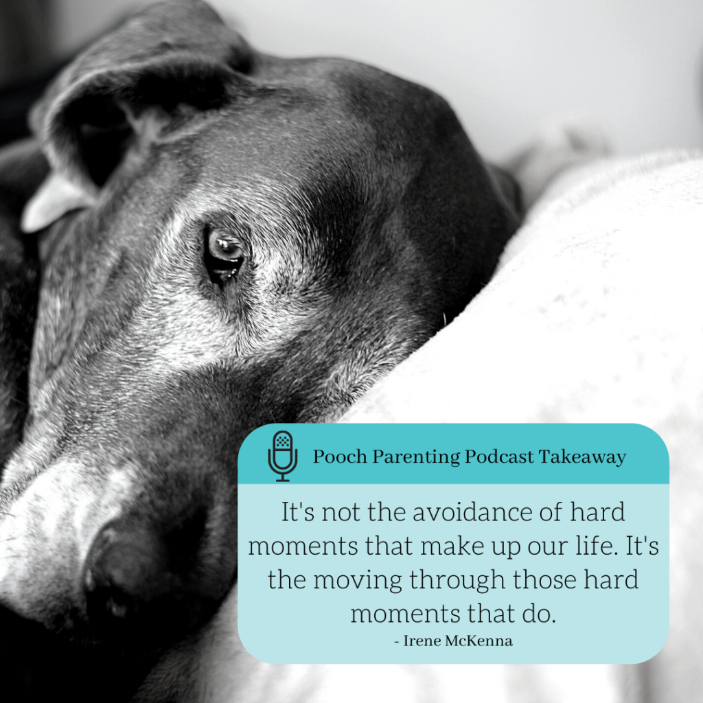 It't not the avoidance of hard moments that make up our life. It's the moving through those hard moments that do. Pooch Parenting Podcast