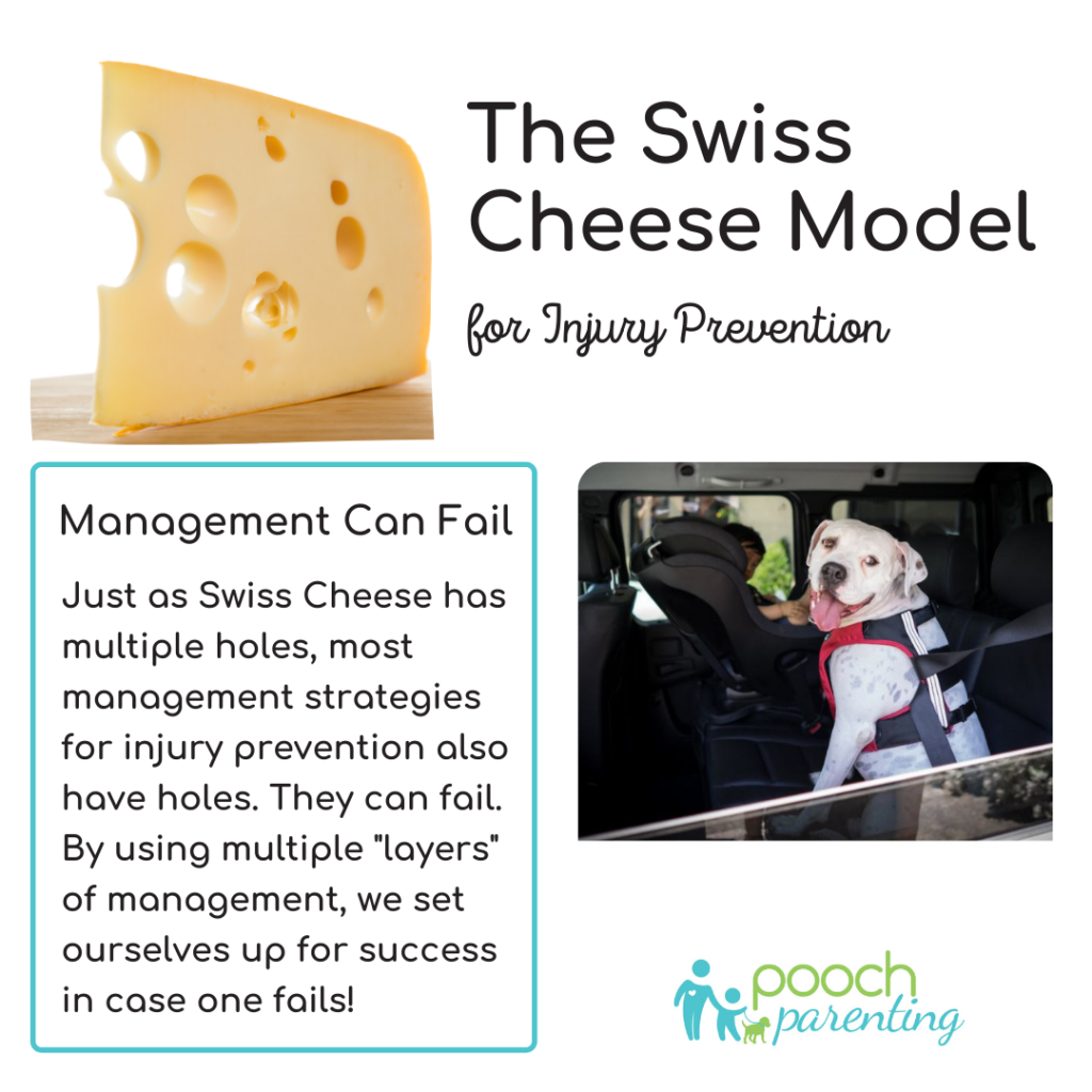 The swiss cheese model for injury prevention states that there are lots of ways that management can go wrong. With car safety, we want multiple layers of protection, such as restraining all creatures in the car along with belongings.