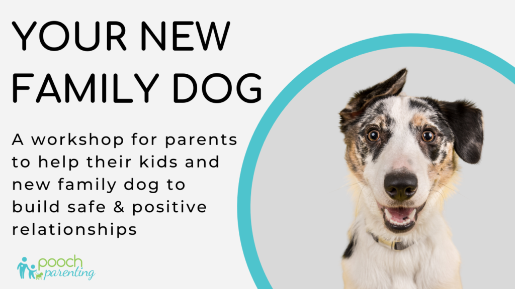 Your New Family Dog - a workshop for parents to help their kids and new family dog to build safe and positive relationships.