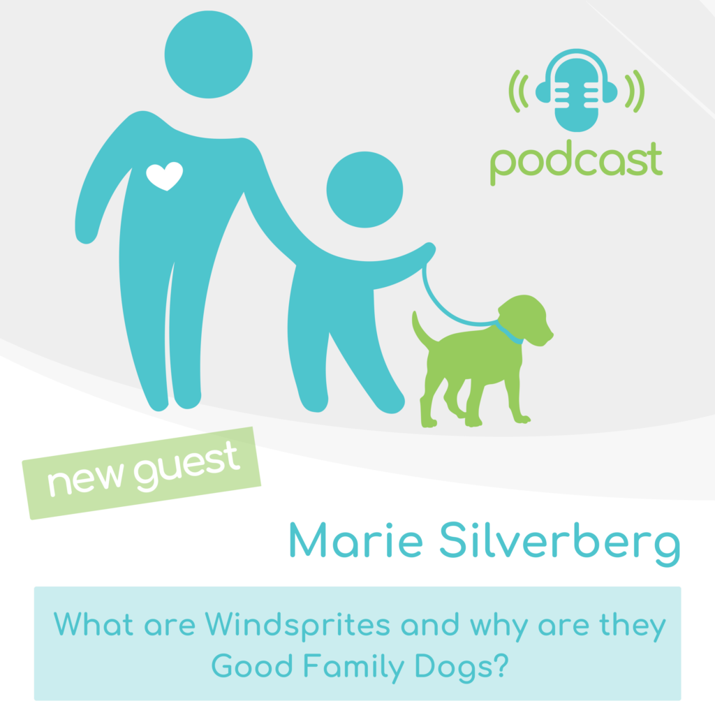 Marie Silverberg breeder at Aspara Windsprites and why they are good family dogs