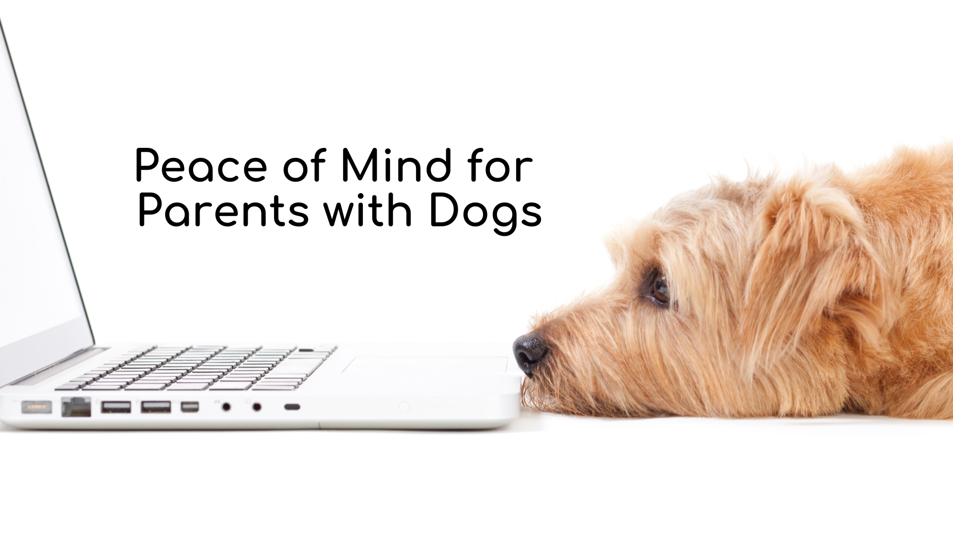 Peace of mind for parents with dogs