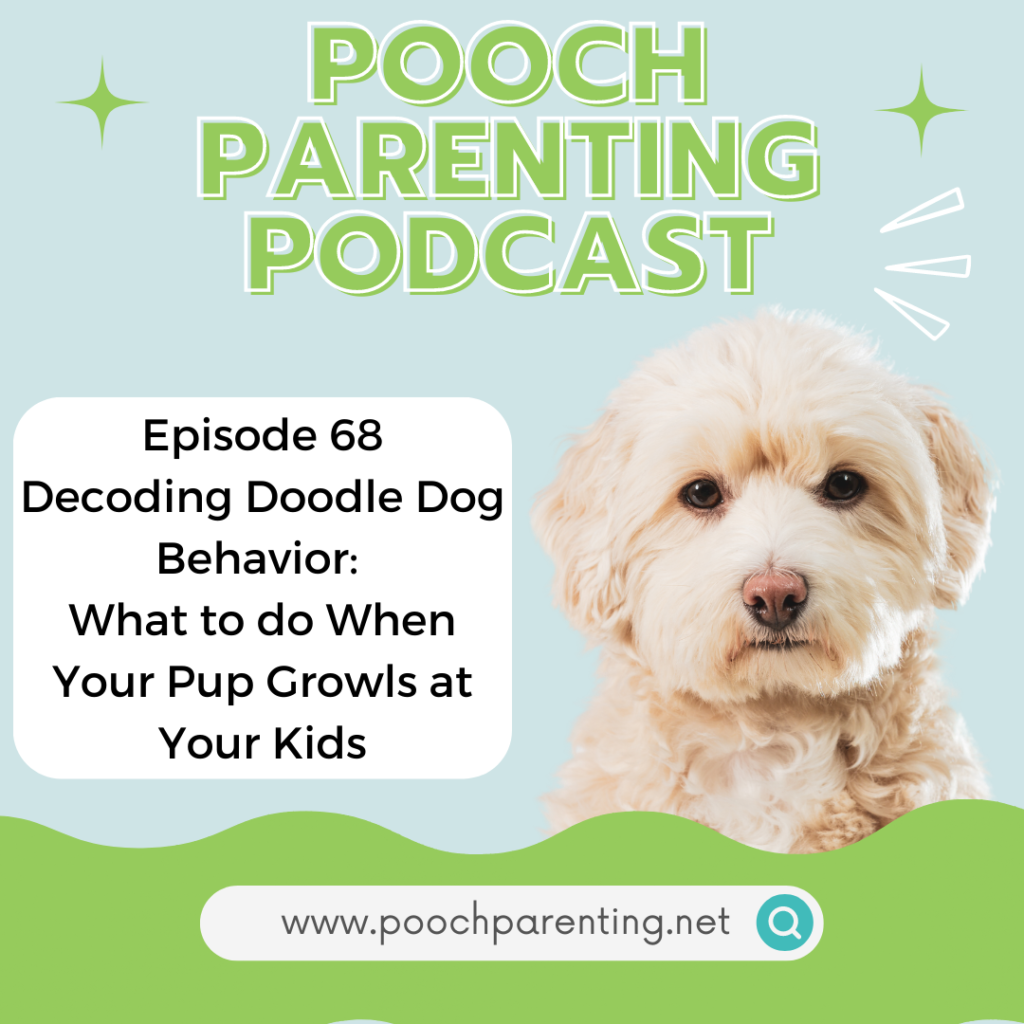 Decoding Doodle dog behavior - what to do when your pup growls at your kids