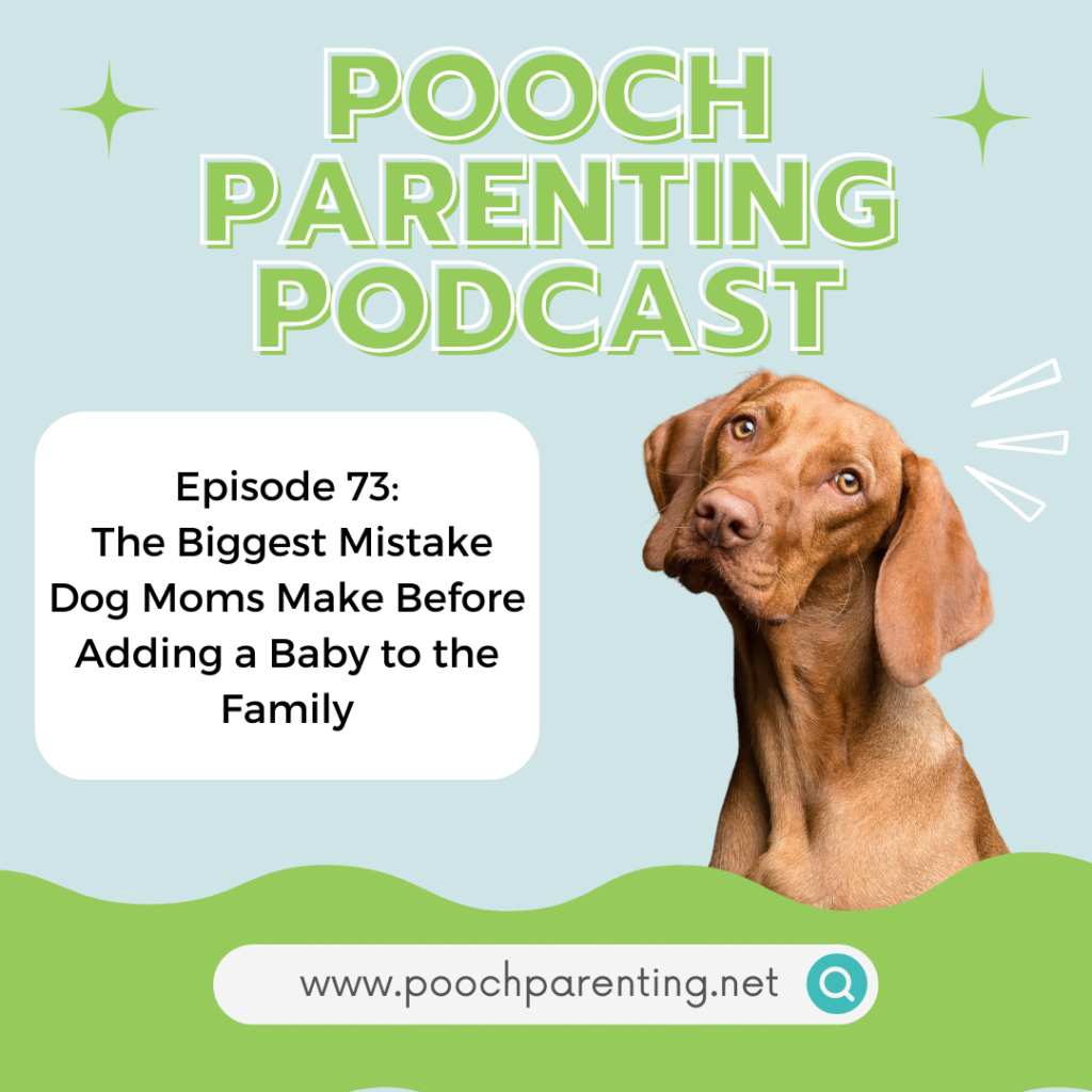 Pooch Parenting Podcast: The Biggest Mistake Dog Moms Make Before Adding a Baby to the Family