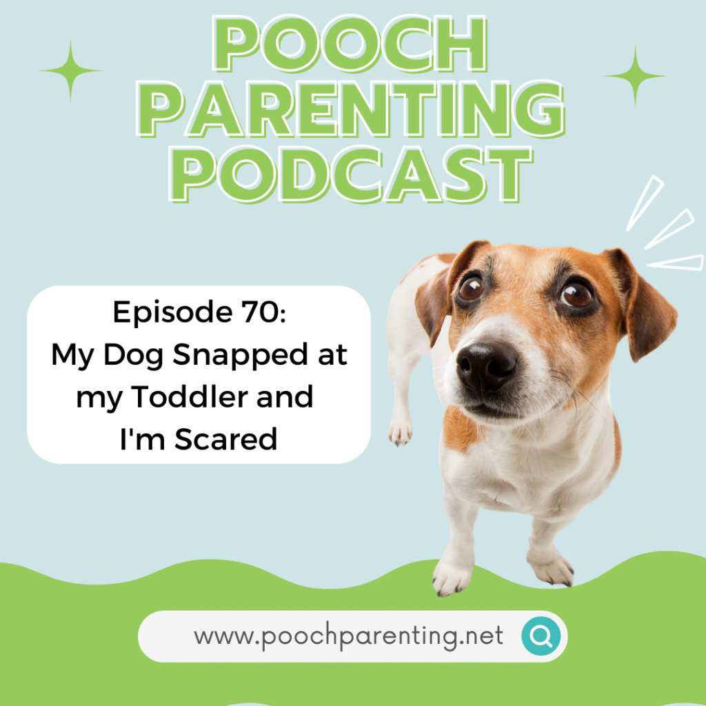 Pooch parenting podcast episode featuring a listener question about her dog snapping at her toddler and now she is scared 
