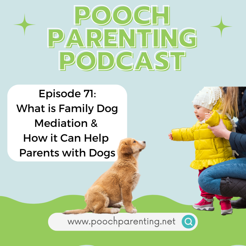 The Pooch Parenting Podcast is a podcast for parents with dogs. Host Michelle Stern is a dog behavior consultant, certified professional dog trainer and licensed family dog mediator. She's a mom and former classroom teacher, and she understands what you are experiencing as a parent living with kids, toddlers or babies and dogs at the same time.  Episode 71 is about Family Dog Mediation and how it can help parents with dogs