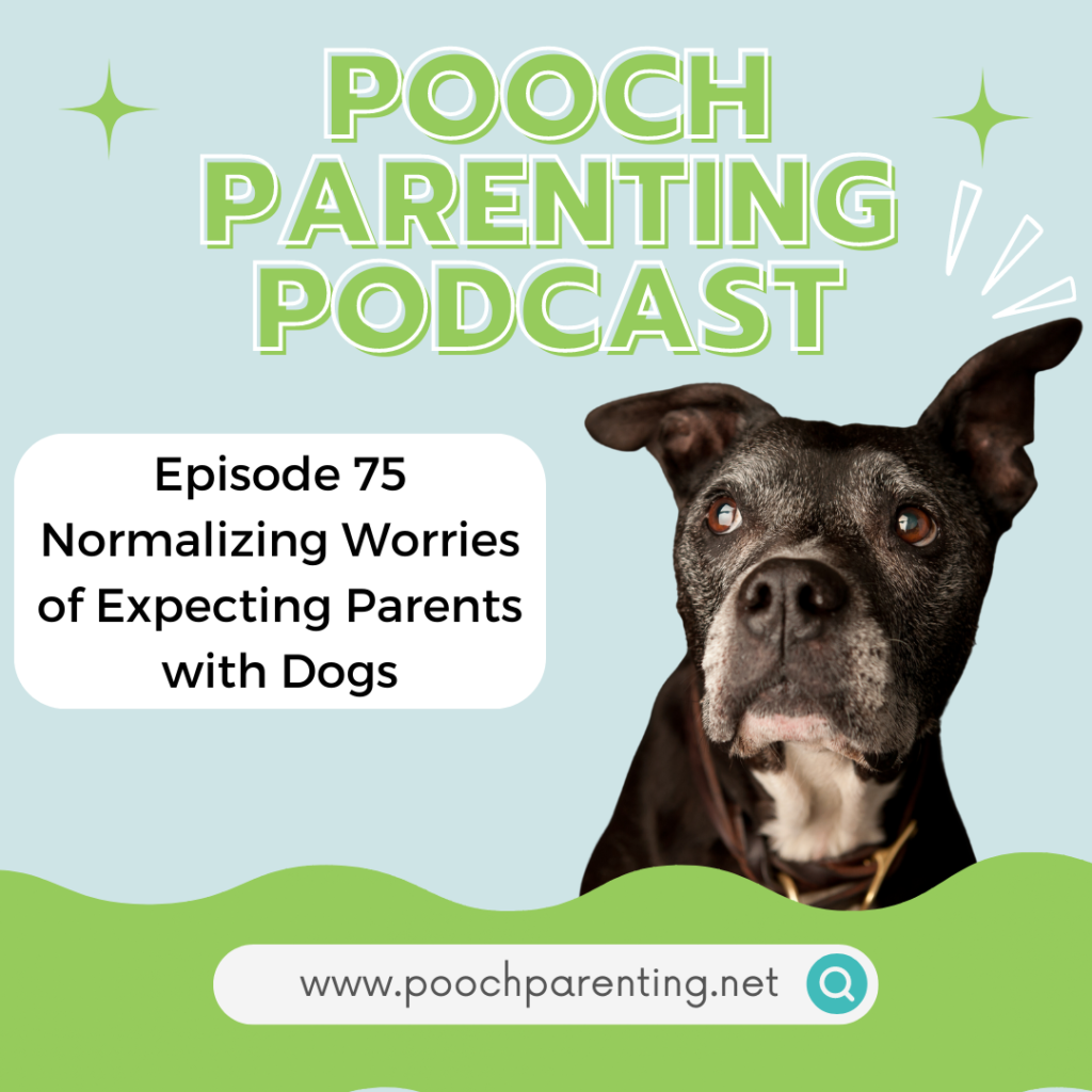 Pooch Parenting Podcast - normalizing worries of expecting parents with dogs