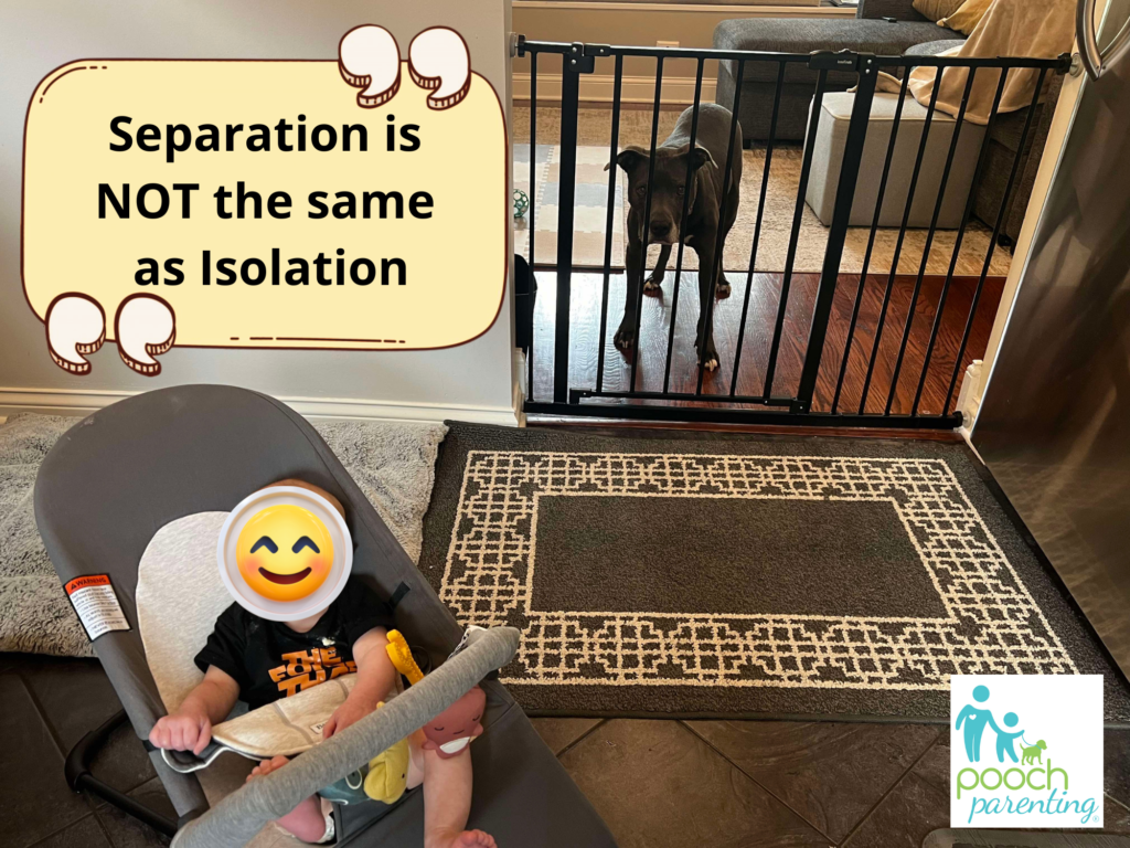 dog behind baby gate as an example of safe dog and child management - pooch parenting Separation is not the same as isolation