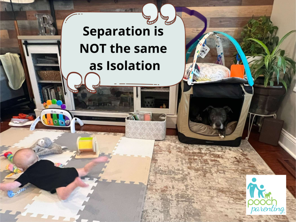 dog in crate while baby is on the floor - safe management between kids and dogs - Pooch Parenting Separation is not the same as isolation