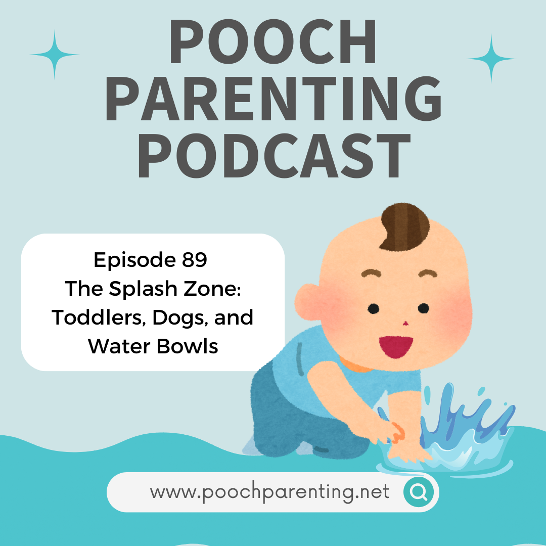 89. The Splash Zone: Toddlers, Dogs, and Water Bowls - Pooch Parenting