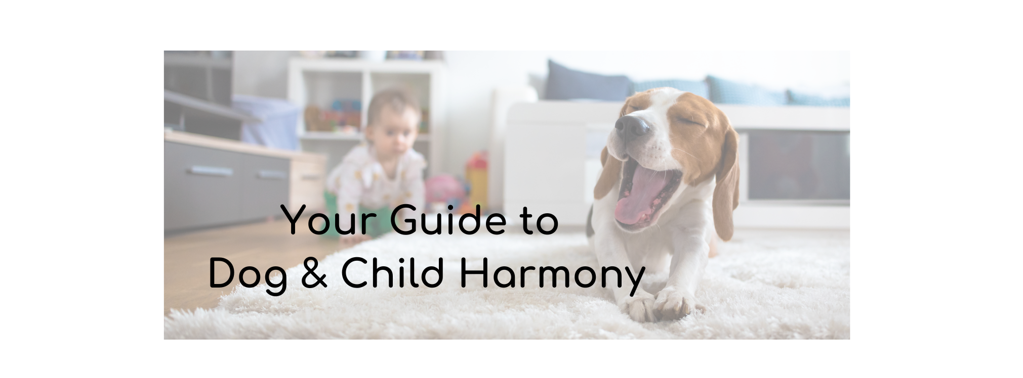 Pooch Parenting is your guide to achieving dog and child harmony